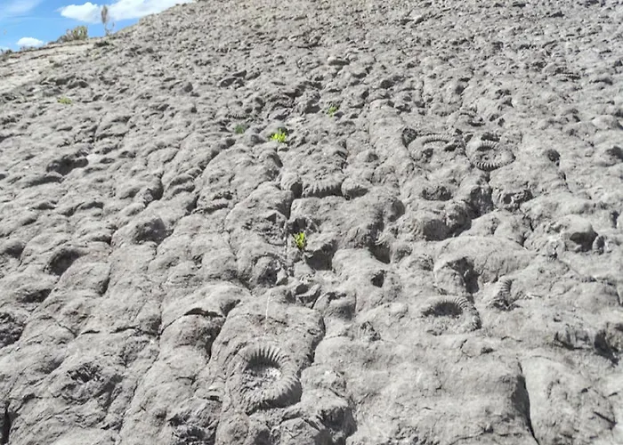 A Avec Piscine Partagee Et Vue Apartment