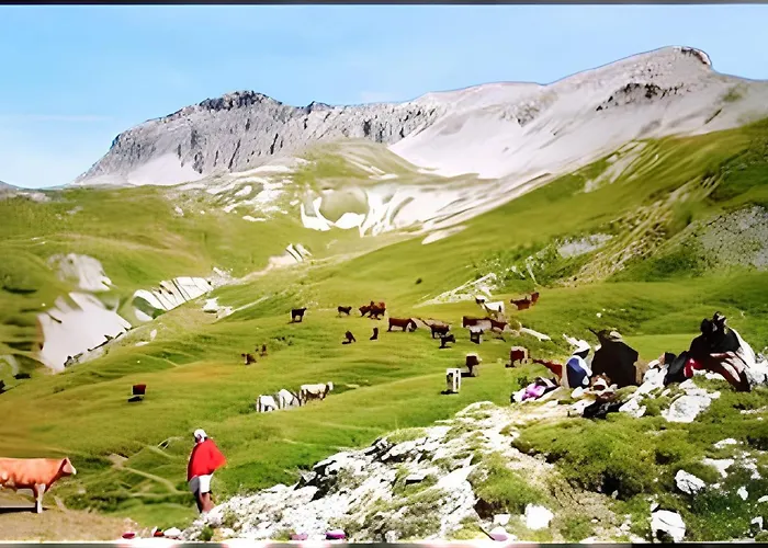 Apartment A Avec Piscine Partagee Et Vue